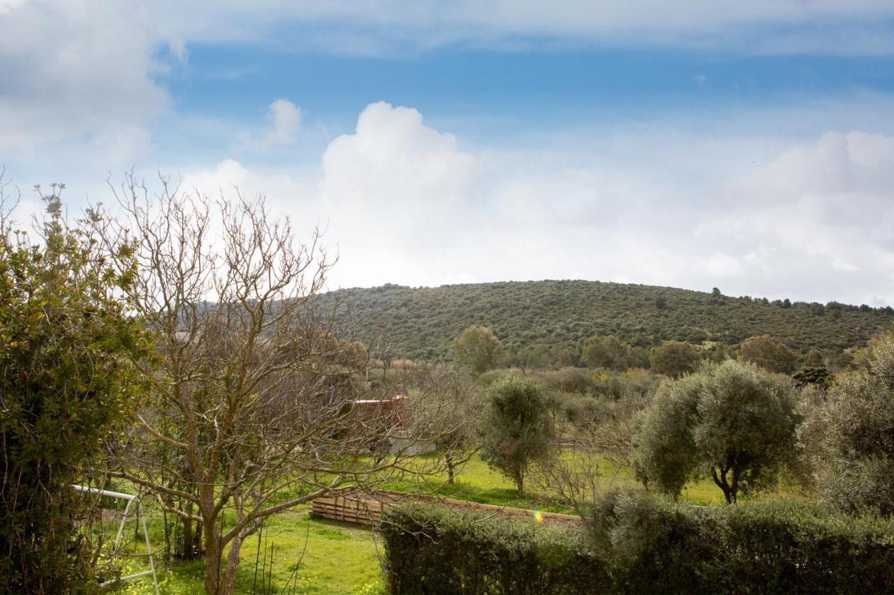 Alghero In Bicicletta 外观 照片