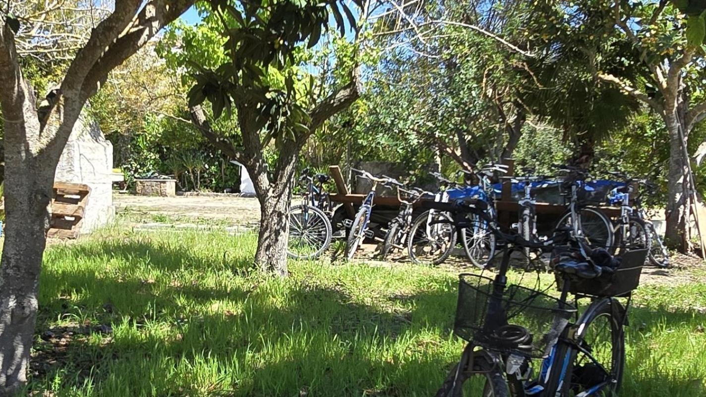 Alghero In Bicicletta 外观 照片