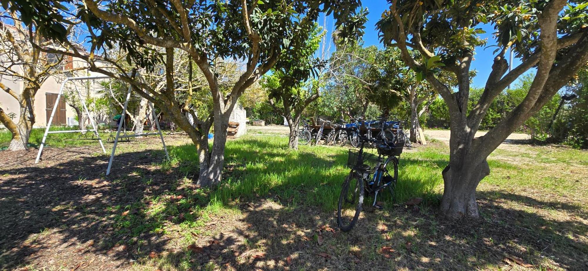 Alghero In Bicicletta 外观 照片